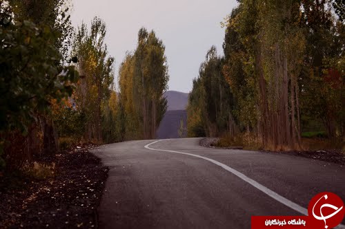نگین دیار کریمان در انتظار میهمانان نوروزی + تصاویر
