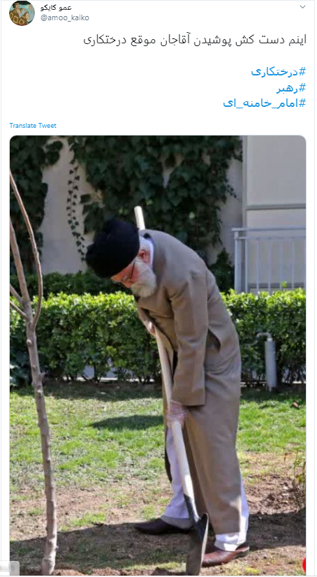 خوشا نهالی که با دستان شما کاشته شود