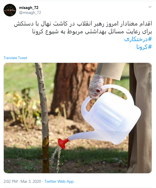 خوشا نهالی که با دستان شما کاشته شود