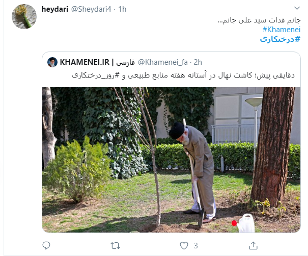 خوشا نهالی که با دستان شما کاشته شود