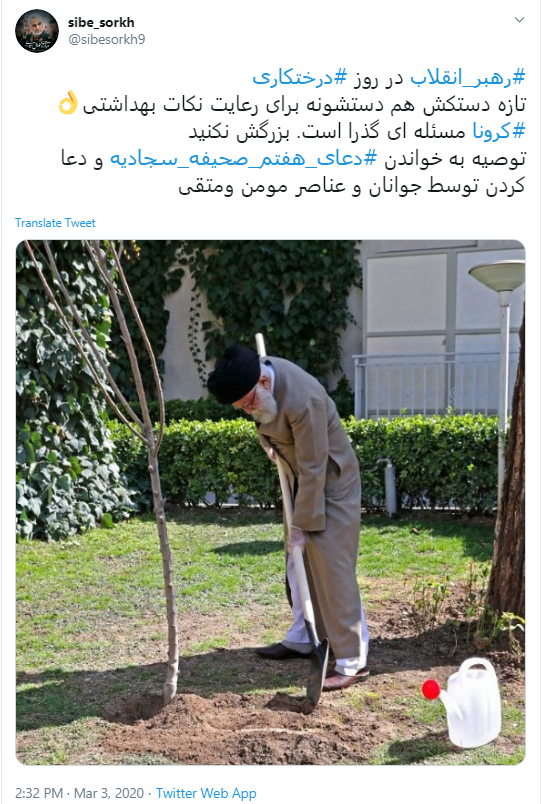 خوشا نهالی که با دستان شما کاشته شود