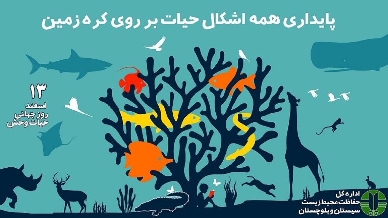 پایداری همه اشکال حیات بر روی کره زمین