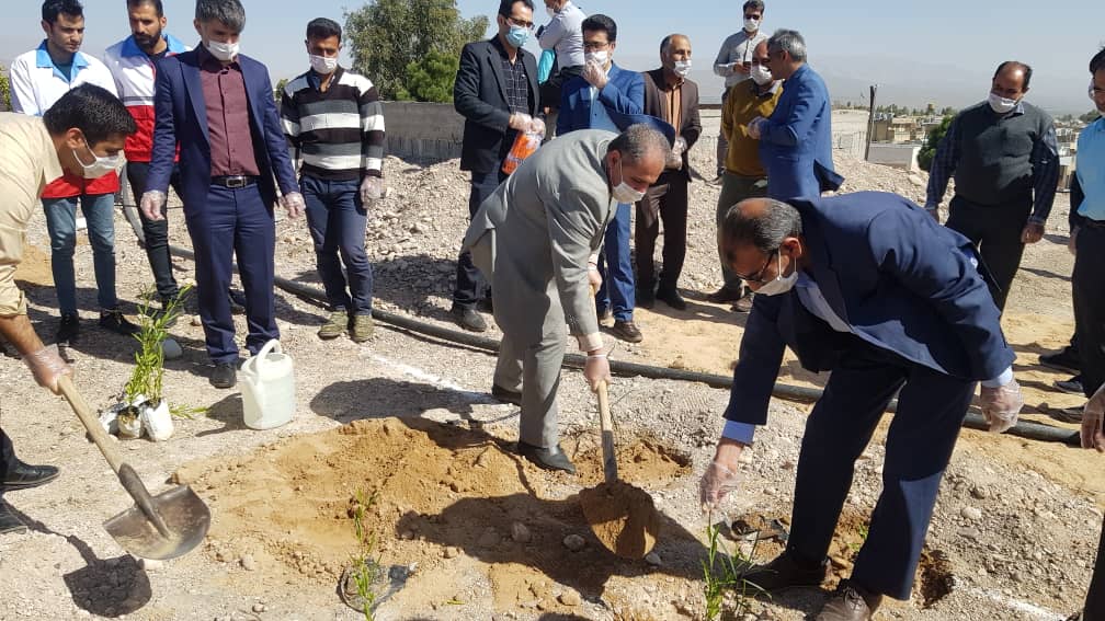 غرس ۱۰۰ اصله نهال در دانشگاه فسا