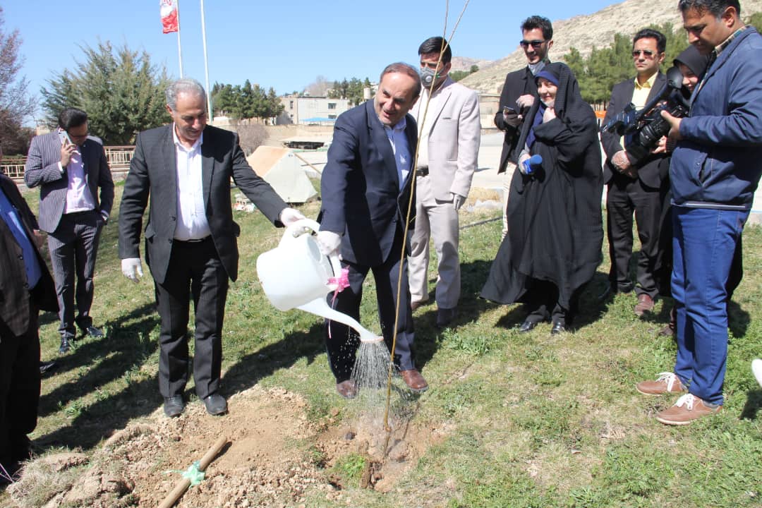 ایلام رتبه اول جنگل‌کاری در کشور را دارد