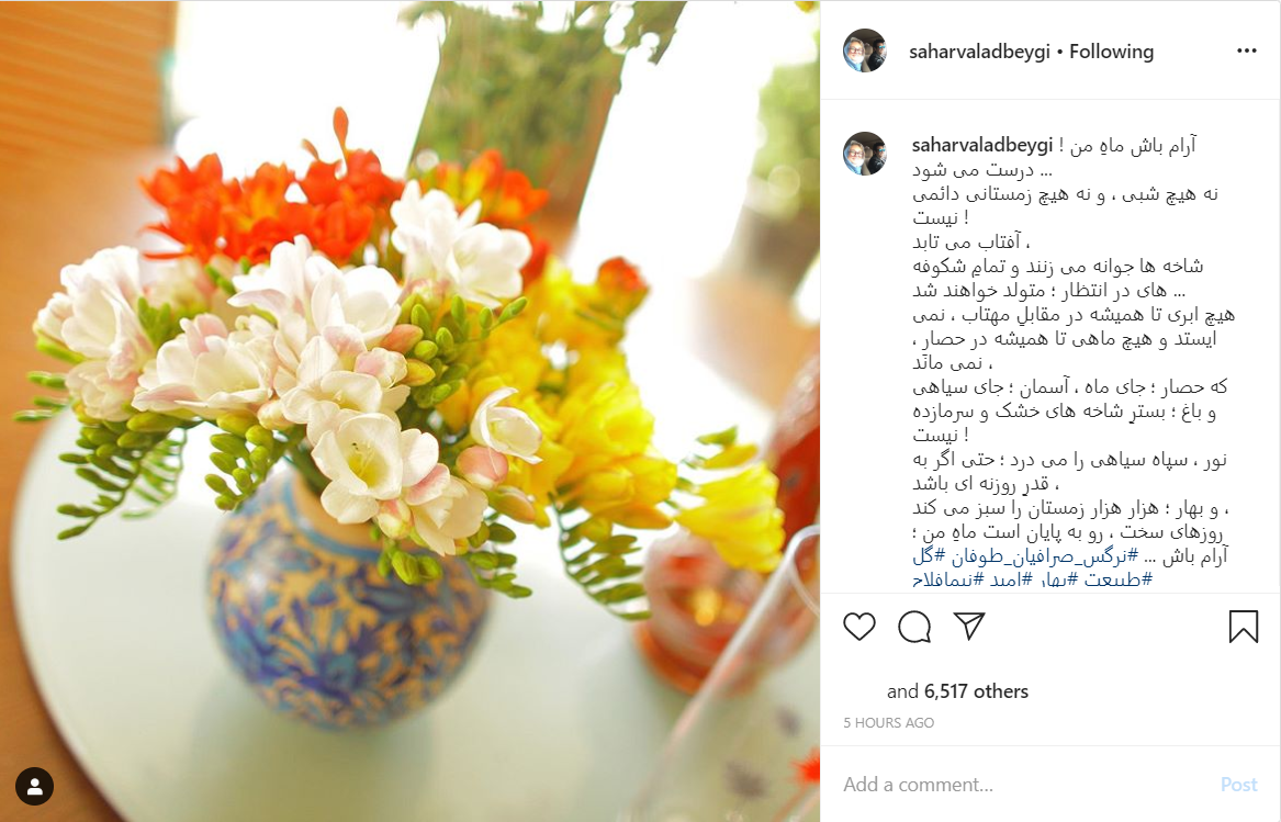 تبریک شهره سلطانی به مناسبت تولد فرزند کمدین معروف؛ فیلمی از پشت صحنه سریال &laquo;پایتخت&raquo;