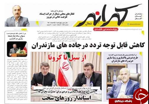 سفر بی بازگشت/چه زیبایی ای درخت