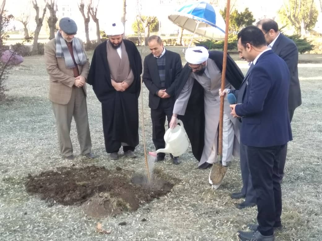 آغاز هفته منابع طبیعی با کاشت نهال  در صدا و سیمای همدان
