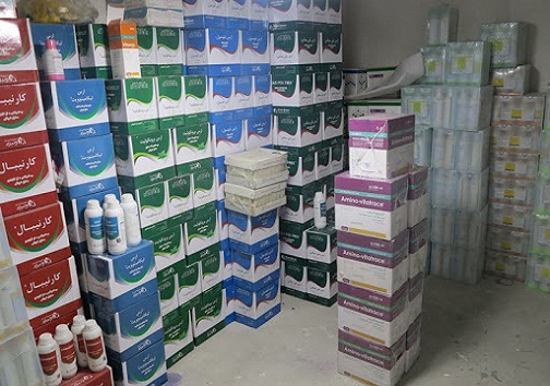 تشکیل ۵۸ پرونده احتکار و گرانفروشی اقلام بهداشتی در استان