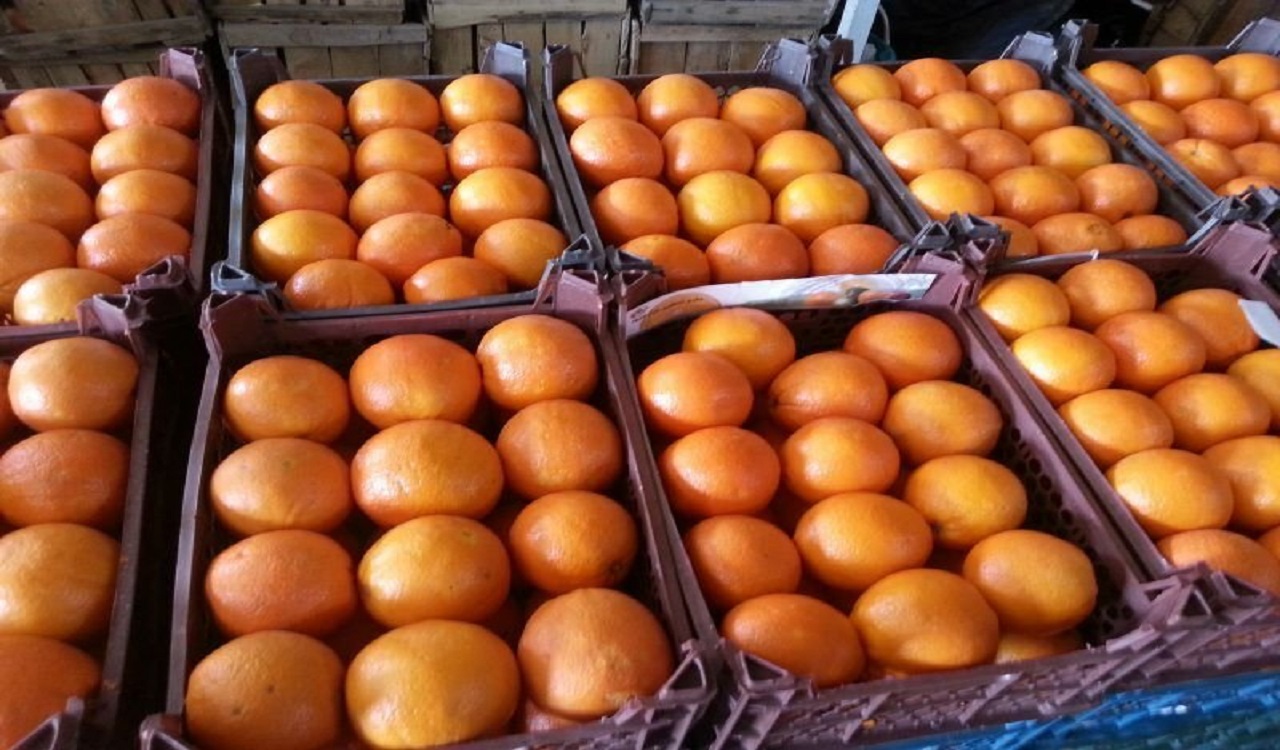 افزایش ۲۵ درصدی جذب و عرضه میوه شب عیدتنظیم بازار