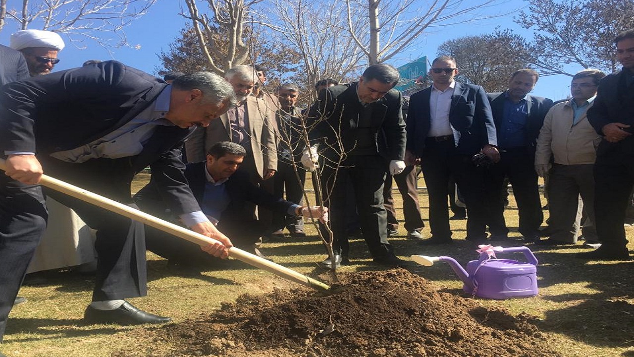 کاشت نهال همزمان با اولین روز از هفته منابع طبیعی