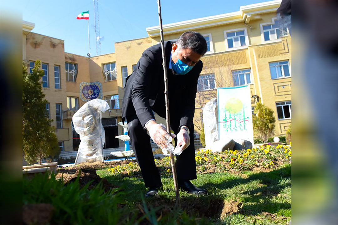 کاشت ۵۰۰ هزار نهال در البرز در هفته منابع طبیعی