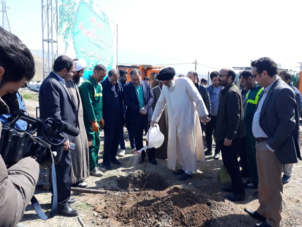 کاشت نهال در حاشیه جنوبی بزرگراه شمالی، محدوده باغستان