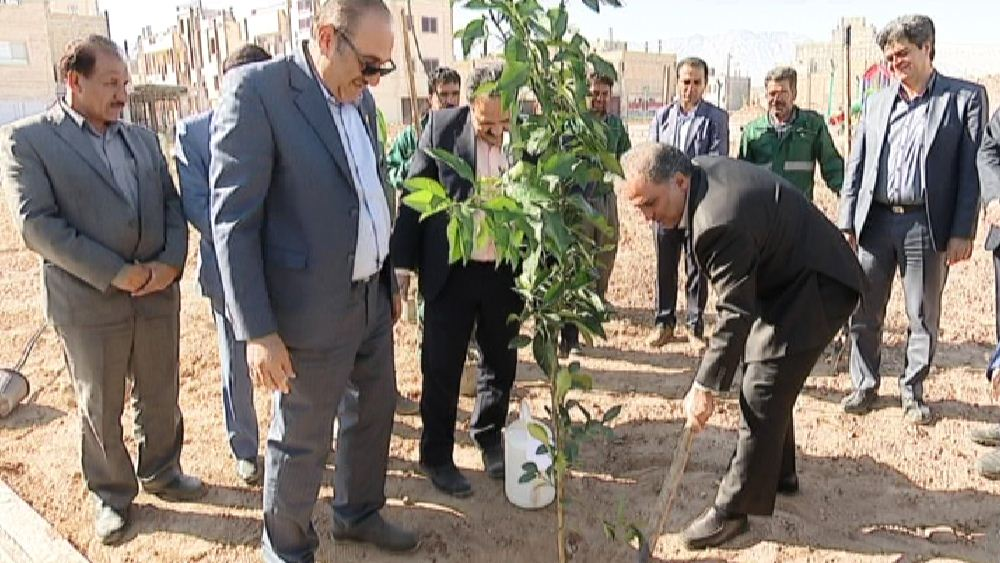 غرس ۶۰ هزار درخت در پارک هزار هکتاری یزد