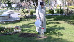 درختکاری به روش عجیب! + فیلم