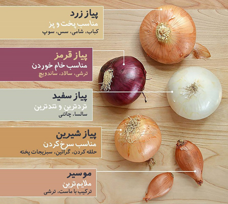 انواع پیاز و کاربردشان در آشپزی