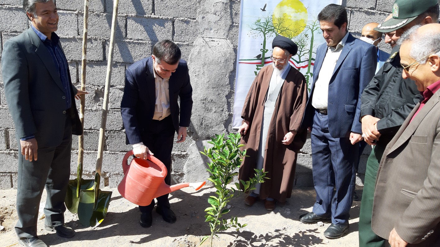 توزیع ۷ هزار و۸۰۰ اصله نهال رایگان در سیرجان