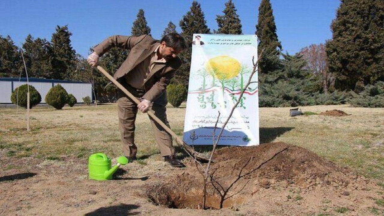 فرهنگ درختکاری مد نظر دستگاه‌های اجرایی استان قرار گیرد