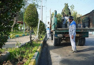 توزیع نهال به مناسبت روز درختکاری بین شهروندان در اهواز