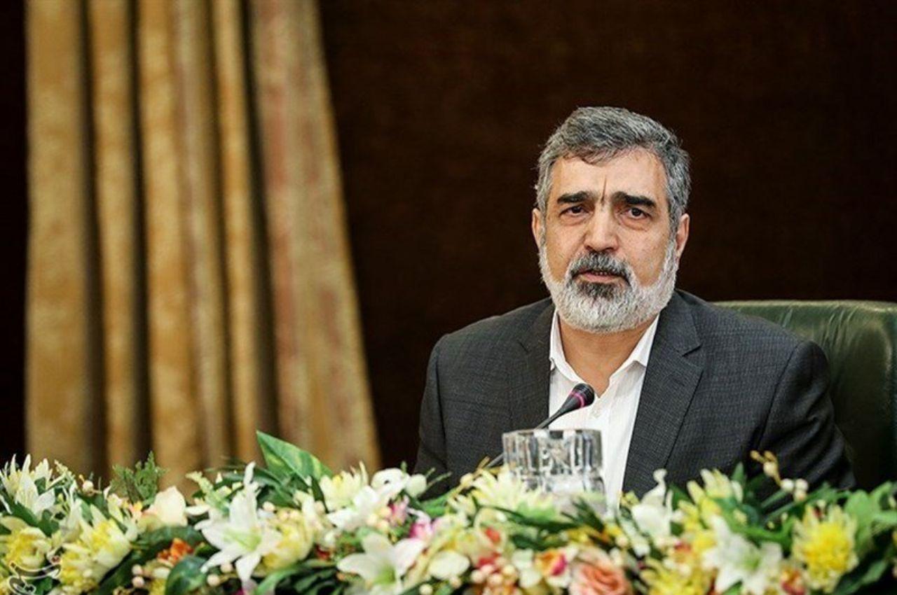 پیام تسلیت سخنگوی سازمان انرژی اتمی در پی درگذشت شیخ&zwnj;الاسلام