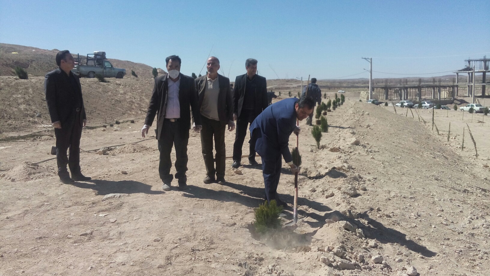کاشت ۴۵۰۰ درخت و درختچه در شهربابک