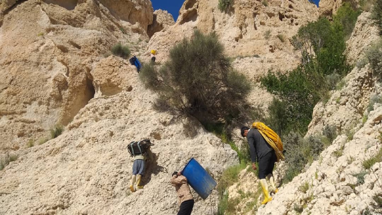 مبارزه با ملخ در بوشهر ادامه دارد/ بیش از ۲ هزار هکتار از اراضی سمپاشی شد مبارزه با ملخ در بوشهر ادامه دارد/ بیش از ۲ هزار هکتار از اراضی سمپاشی شد