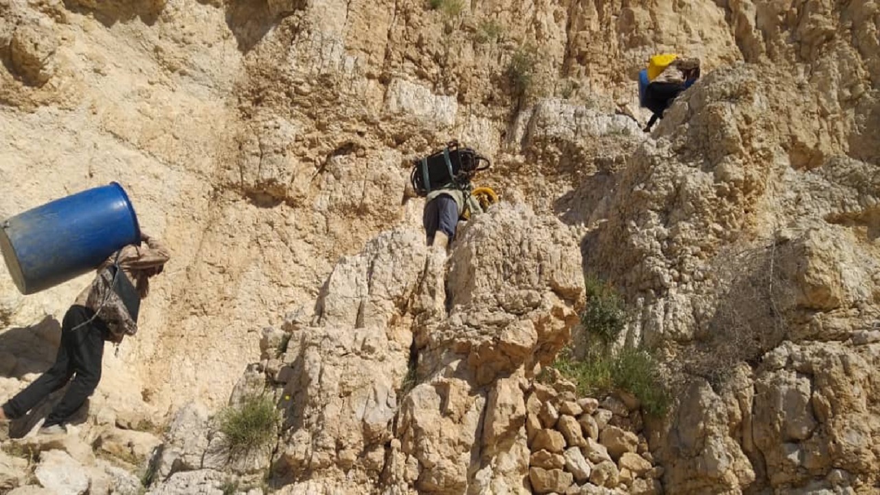 مبارزه با ملخ در بوشهر ادامه دارد/ بیش از ۲ هزار هکتار از اراضی سمپاشی شد مبارزه با ملخ در بوشهر ادامه دارد/ بیش از ۲ هزار هکتار از اراضی سمپاشی شد