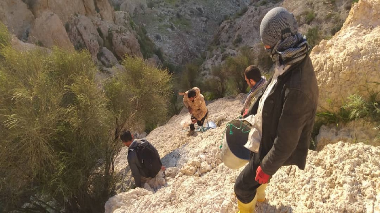 مبارزه با ملخ در بوشهر ادامه دارد/ بیش از ۲ هزار هکتار از اراضی سمپاشی شد مبارزه با ملخ در بوشهر ادامه دارد/ بیش از ۲ هزار هکتار از اراضی سمپاشی شد