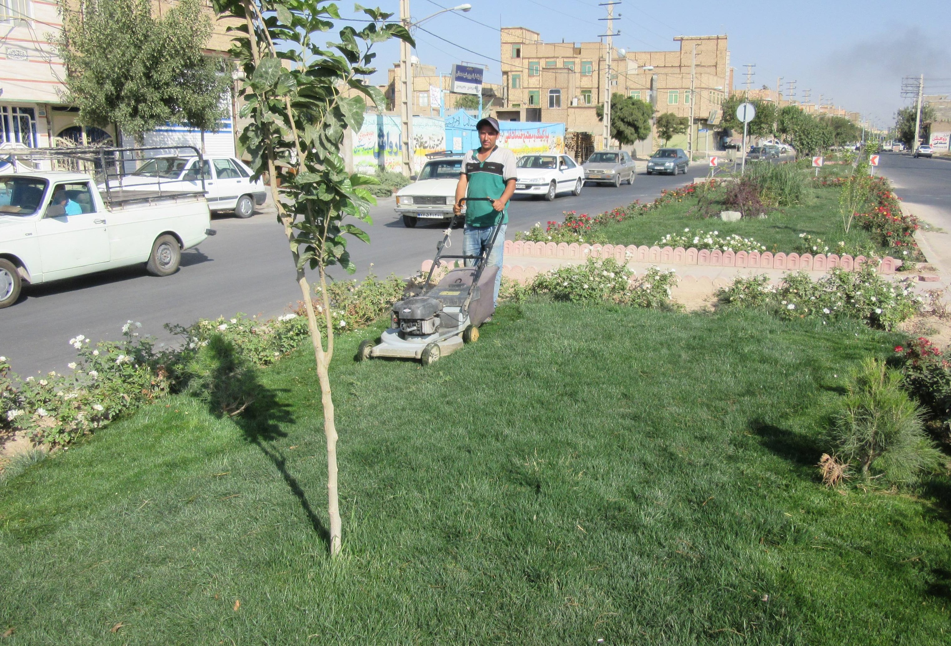 اجرای عملیات آماده سازی بستر کشت به منظور کاشت چمن در ایلام