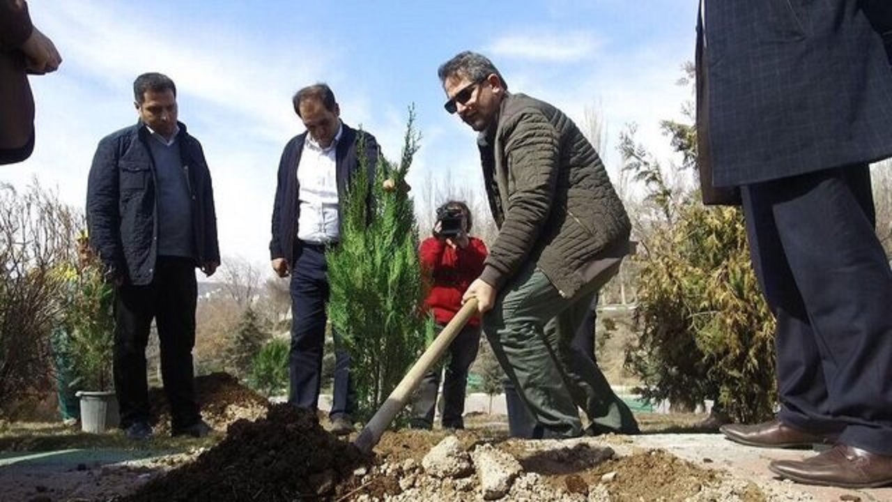 طرح کاشت یک میلیون نهال برای سال ۹۹ در تبریز کلید خورد
