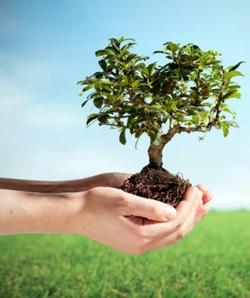 تشویق به مشارکت سبز با احتیاط کرونایی