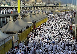 اقدام جنون آمیز یک مرد در کوبیدن خودرویش به درب مسجدالحرام + فیلم