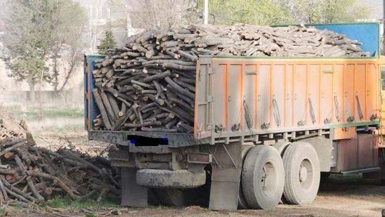 کشف هفت تن چوب بلوط قاچاق در اردل