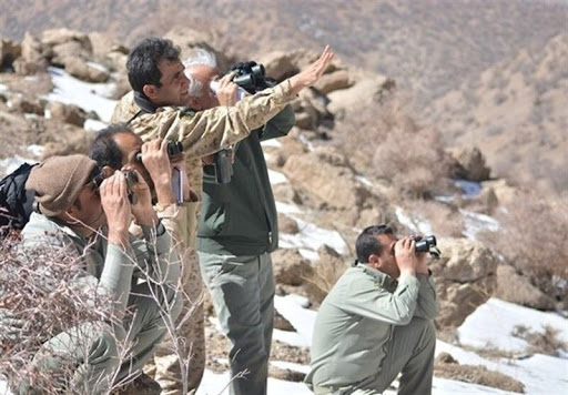 پایان فصل شکار در بوشهر/ با شکارچیان متخلف برخورد می&zwnj;شود