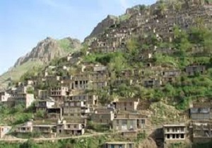 کرمانشاه ۵۲۷ هزار هکتار جنگل دارد