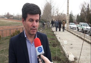 توزیع ۵۰ هزار اصله نهال رایگان در همدان