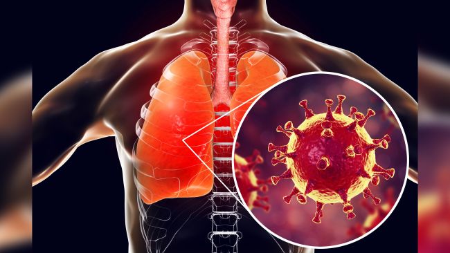 ویروس کرونا؛ چرا به دستگاه تنفسی بیمار حمله می&zwnj;کند؟