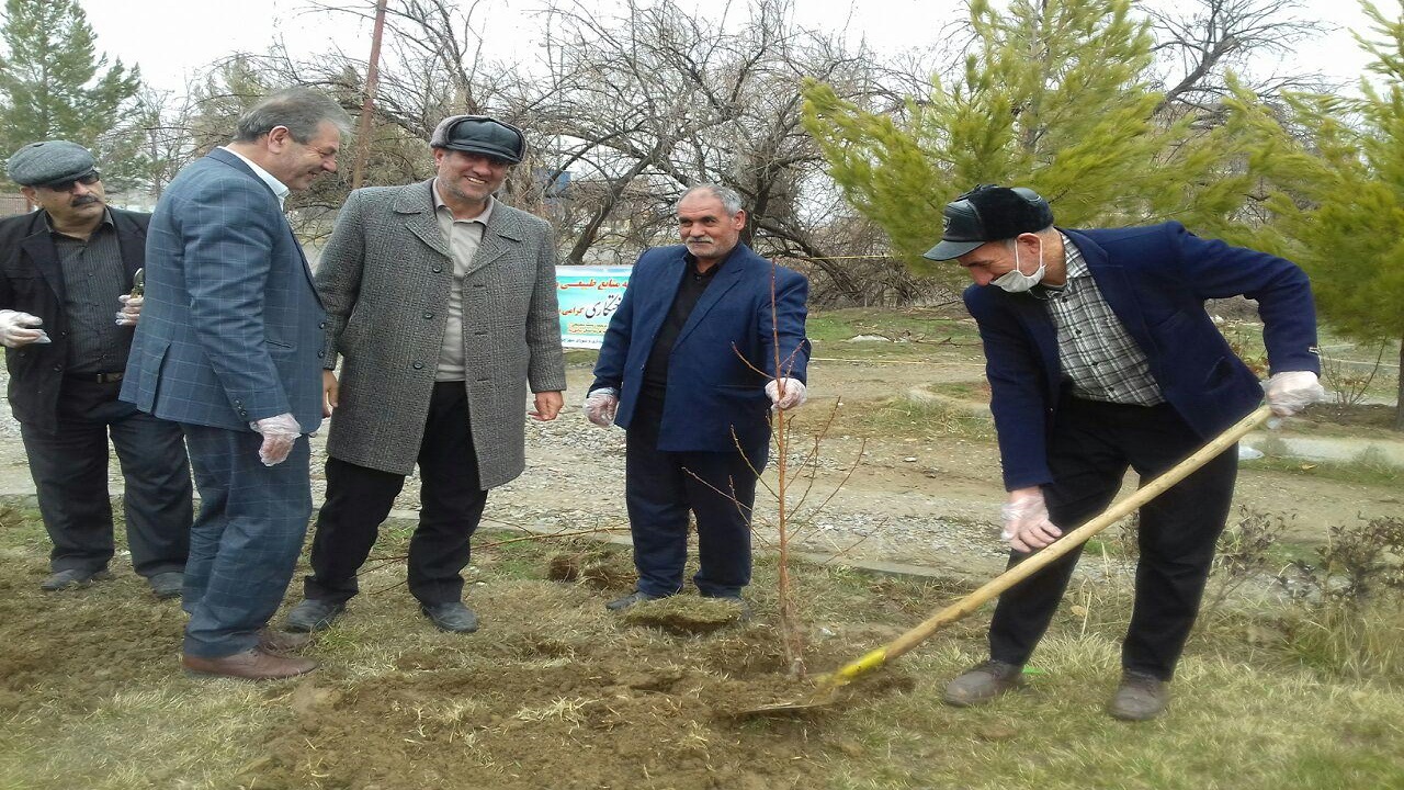 کاشت درخت به مناسبت هفته منابع طبیعی در چهاربرج + تصاویر