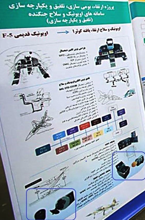 ببر&zwnj;ها و گربه&zwnj;های ایرانی با چشمان تیزتر می&zwnj;بینند + تصاویر