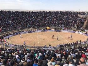 لغو مسابقات کشتی با چوخه اسفراین