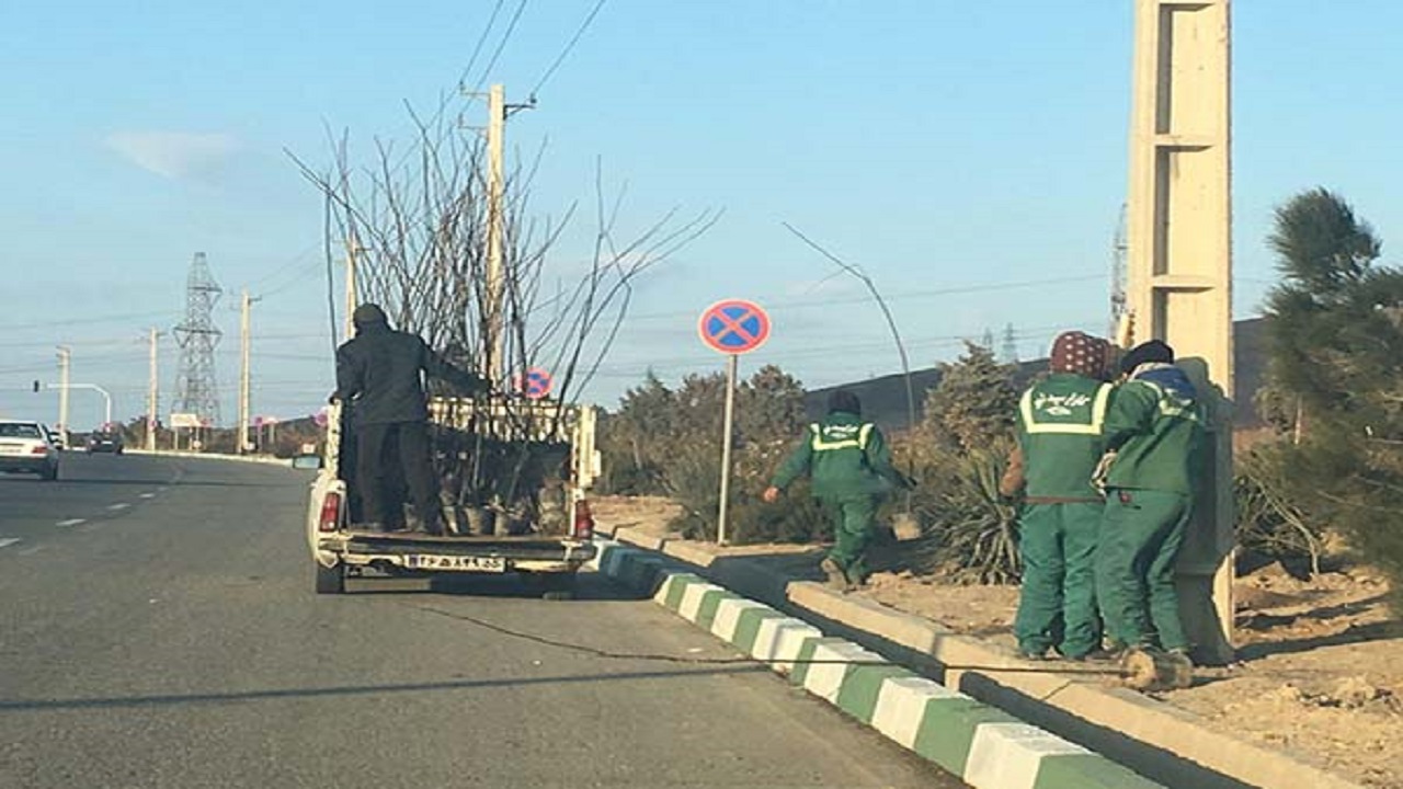 هزار نهال در ورودی شهر سمنان کاشته شد