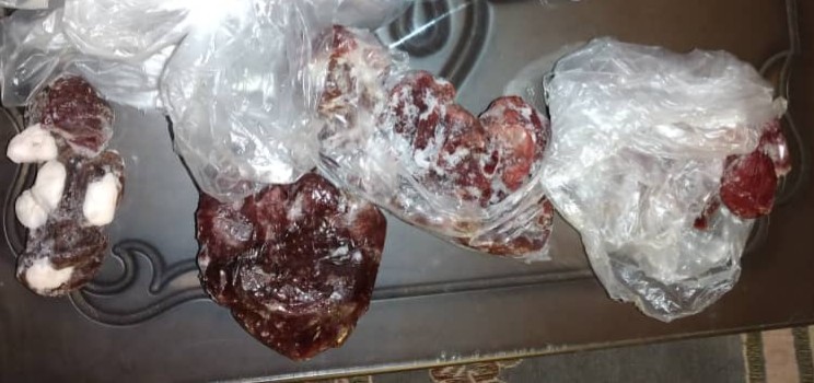 دستگیری شکارچی متخلف در بردسیر