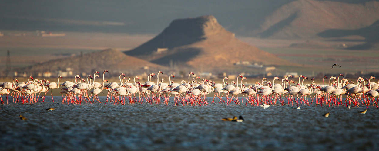 حال خوب تالاب