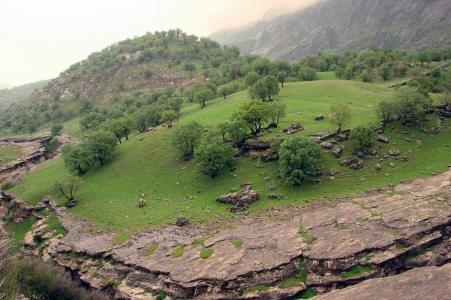 برپائی چادر در مناطق طبیعی و کوهستانی شهرستان چرداول ممنوع است