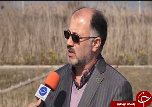 ماسه&zwnj;های شور ساحل خزر بارور شدند