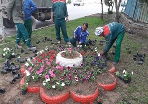 ۵۵۰ متر مربع از فضای سبز نشاءکاری شد