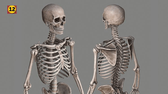 حقایقی جالب و شگفت&zwnj;انگیز درباره بدن شما