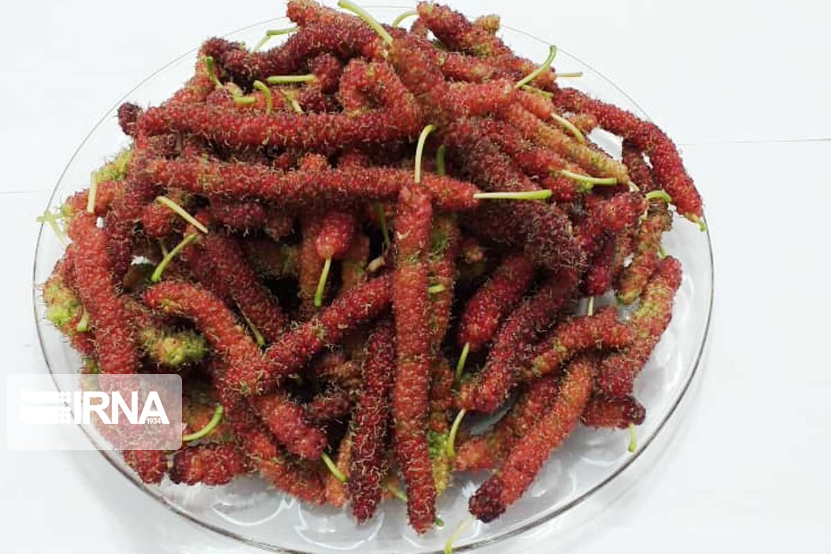 میوه عجیبی که تا حالا ندیدید + تصاویر