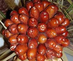 از نماد سلامتی تا سینی که نخستین شورش تاریخ بشر را رقم زد