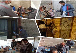 چهار هزار محلول ضد عفونی&zwnj;کننده بین گروه&zwnj;های خاص توزیع می شود