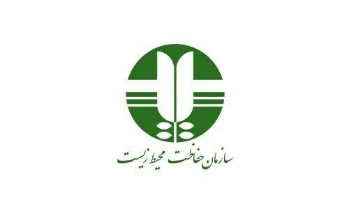 کشف ۲ تن هیزم در کازرون
